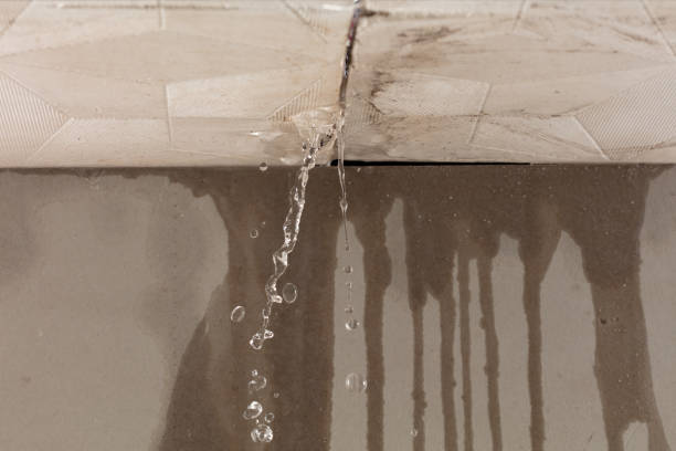 Professional Structural Drying technician working in Rose Creek, MN